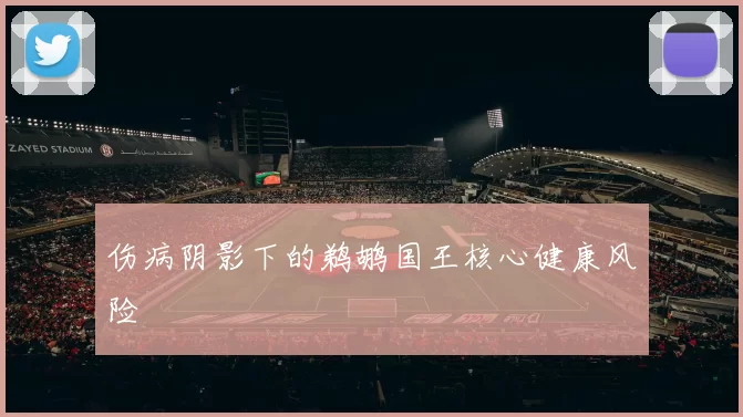 伤病阴影下的鹈鹕国王核心健康风险