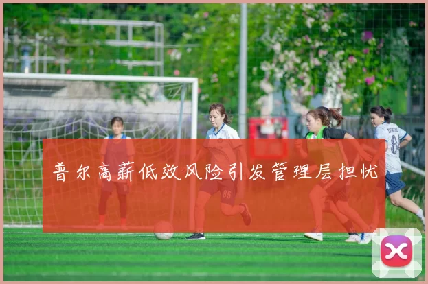 普尔高薪低效风险引发管理层担忧