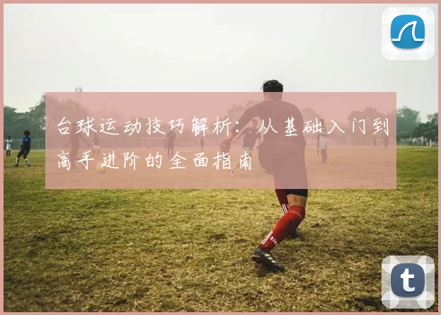 台球运动技巧解析：从基础入门到高手进阶的全面指南