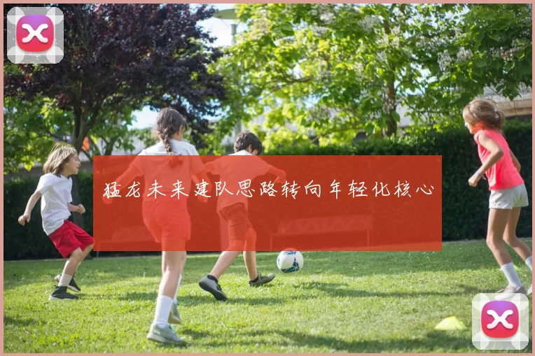 猛龙未来建队思路转向年轻化核心