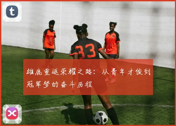 雄鹿重返荣耀之路：从青年才俊到冠军梦的奋斗历程