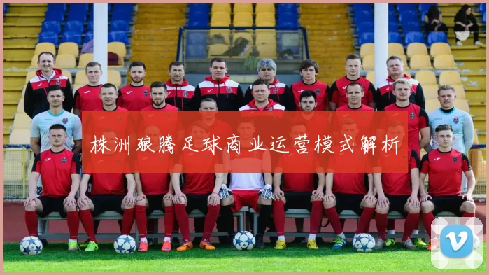 株洲狼腾足球商业运营模式解析